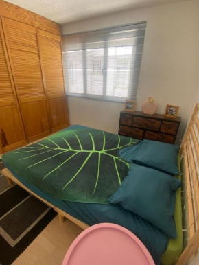 Habitación Privada en La Colonia Roma